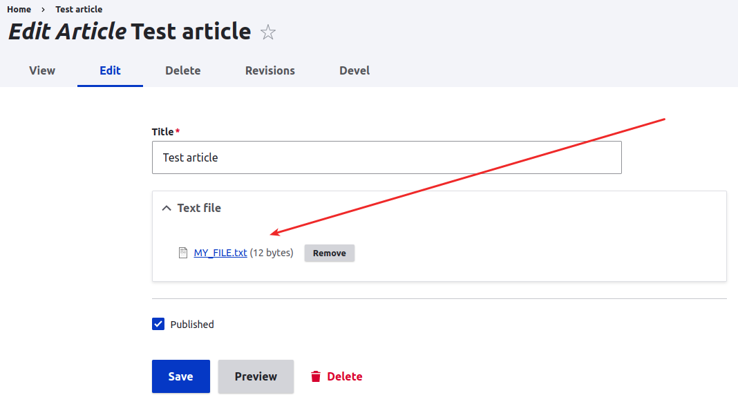 Programmatically attach a file to an entity