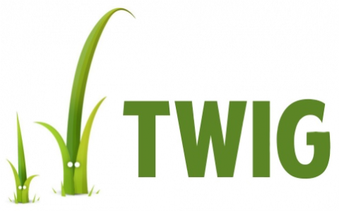 Inline Twig template